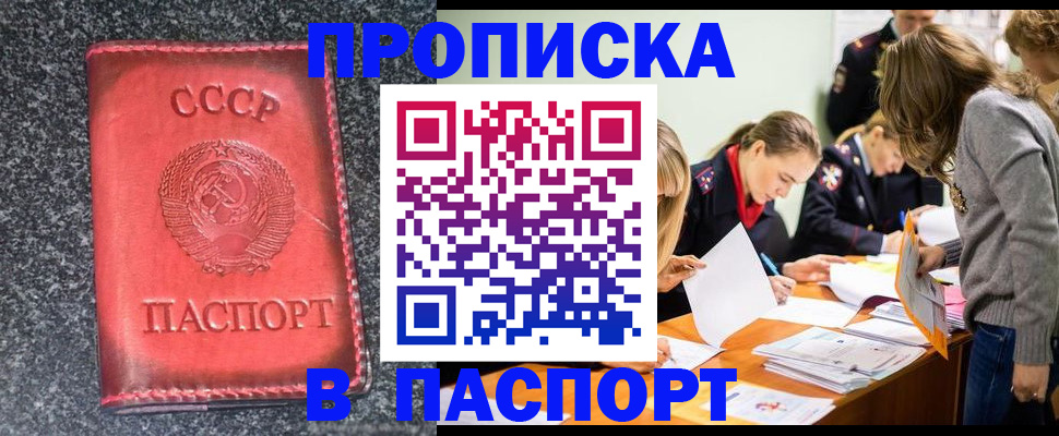 прописка для школы в Щиграх
